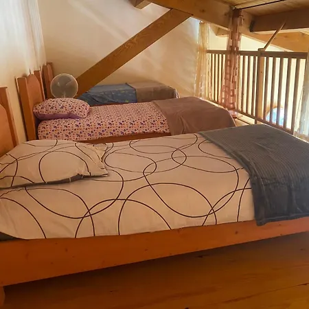 Feriehus Le Des Palmiers *